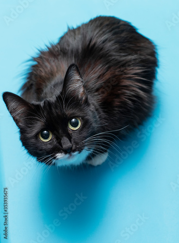 
Black and white porridge on a blue background