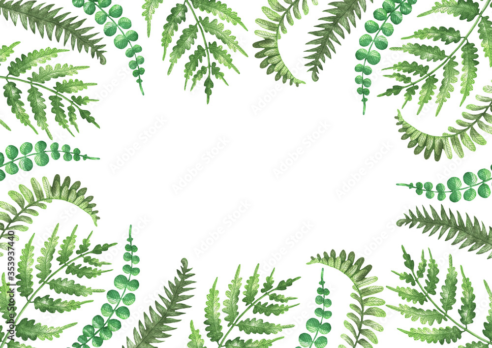 Rectangular fern frame