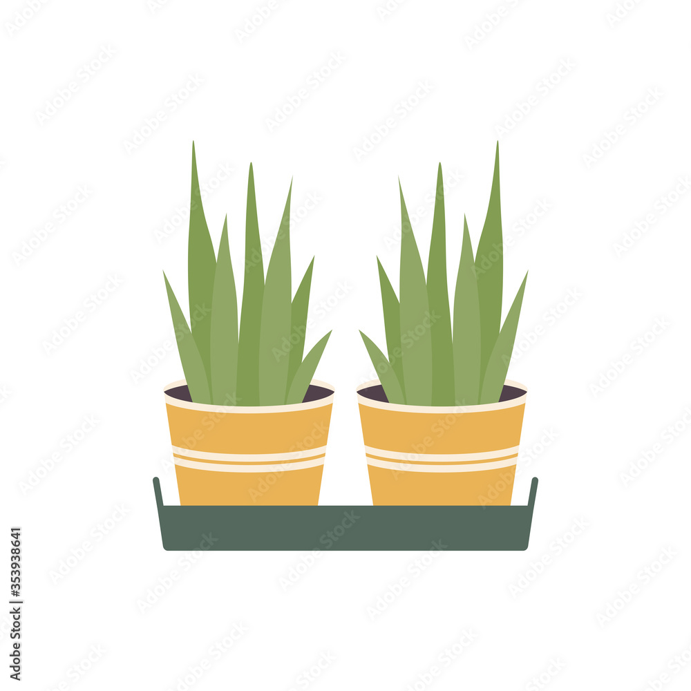 Potted plants in a tray flat vector illustration.Succulents in a pot. Potted plants in a tray flat vector illustration.Succulents in a pot.