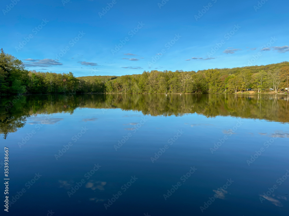Reflection of Trees in the Water 2