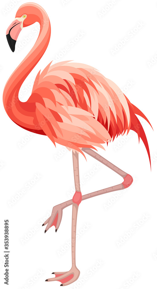 Vector illustration of a pink flamingo standing on one leg.