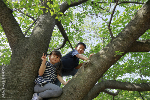 木登りをする兄妹(10歳と5歳) photo
