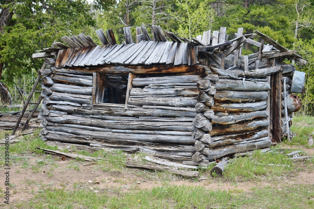 Cabin in the woods