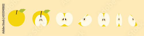 Yellow Golden Delicious Apple Fruit Whole Half Cut and Slice Simple Vector Set. Isolated on color background