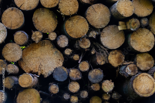 Piled log