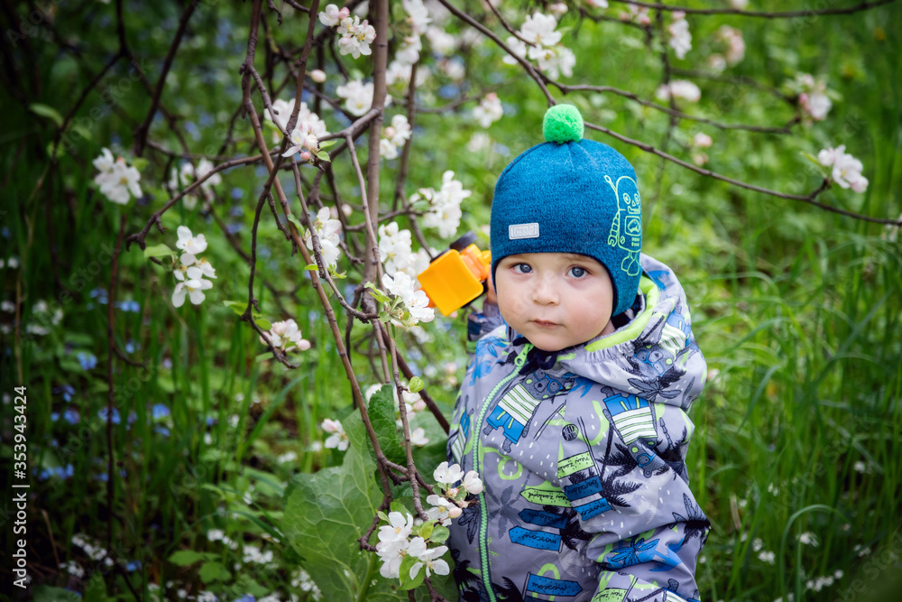 A little boy walks in an Apple orchard in spring. Trees in flowers. Park in the spring. Nature walk. Happy childhood.