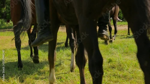 The horses go, the videographer takes them off