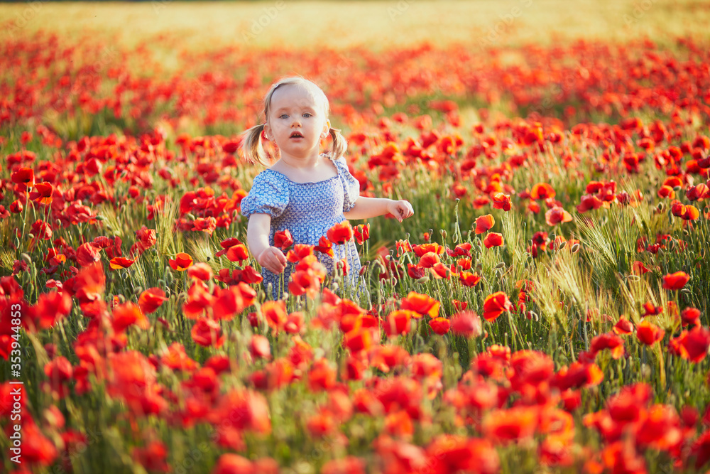 Adorable toddler girl in blue dress walking in the field of blooming poppies