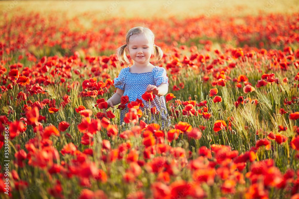 Adorable toddler girl in blue dress walking in the field of blooming poppies Adorable toddler girl in blue dress walking in the field of blooming poppies