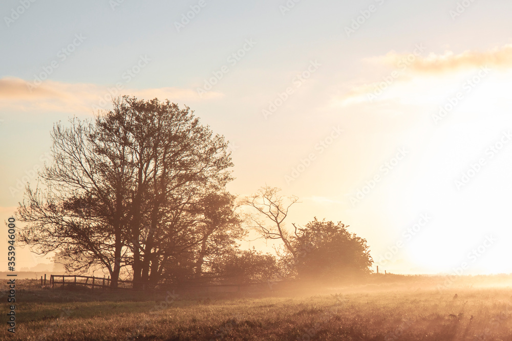 Countryside summer sunrise in the morning Countryside summer sunrise in the morning