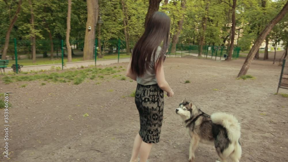 An Attractive Young Blonde Woman Play With Purebred Siberian Husky Dog In Park, Trains To Walk On Bridge, Overcome Obstacles. Bright Sunny Day. Concept Of Friendship, Care, Human And Animal Help An Attractive Young Blonde Woman Play With Purebred Siberian Husky Dog In Park, Trains To Walk On Bridge, Overcome Obstacles. Bright Sunny Day. Concept Of Friendship, Care, Human And Animal Help