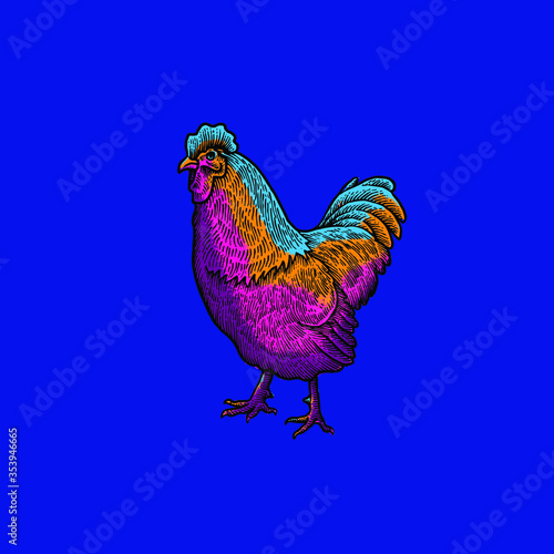 Chicken Vector Collection