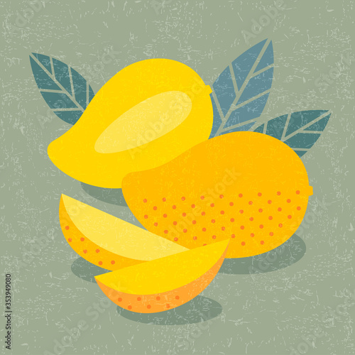 Mango fruits illustration.  Ripe whole, half of fruit and sliced mango with leaves on shabby background. Flat illustration.