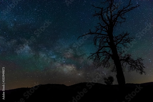 Milky Way in Northern Arizona