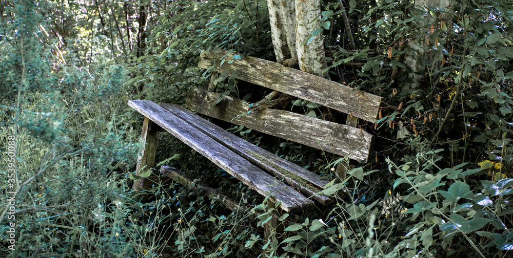 Naklejka premium back