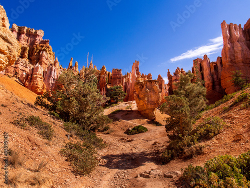 Path leading into the stone Formations in Bryce Canyon National Park, Utah, USA