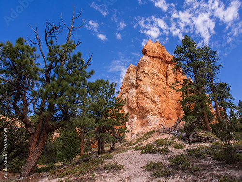 Sand and Stone Formations with Blue Sky and Green Trees in Bryce Canyon National Park, Utah, USA