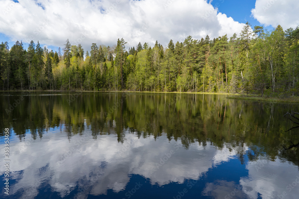 View of the forest lake, the system of Blue Lakes in Belarus