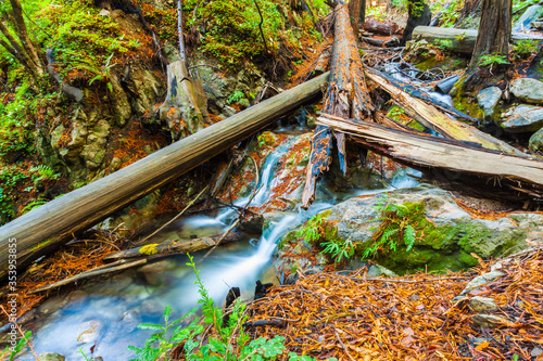 West Fork of Limekiln Creek Flowing  Through Coastal  Redwood Forest in Limekiln State Park, Big Sur, California, USA photo