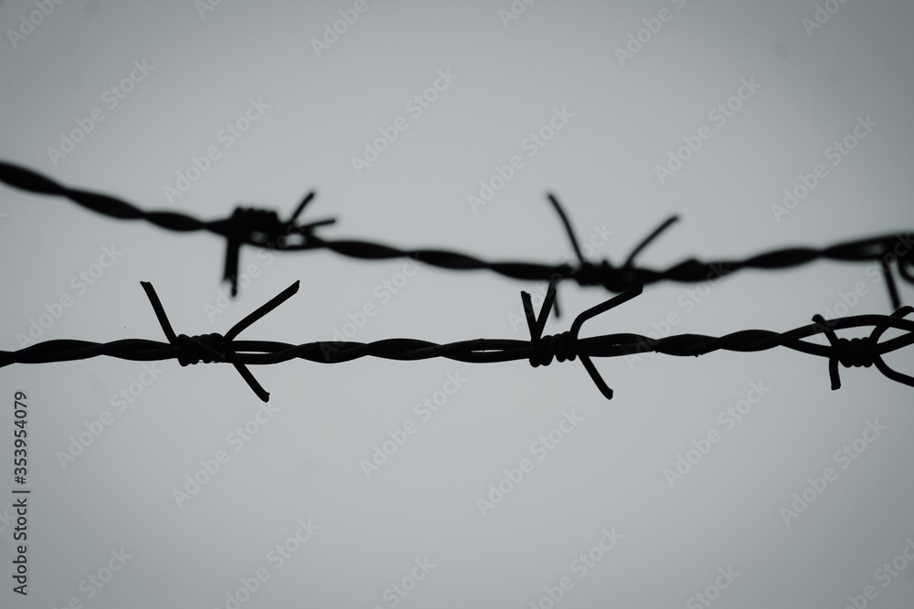 barbed wire fence barbed wire fence