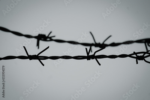 barbed wire fence