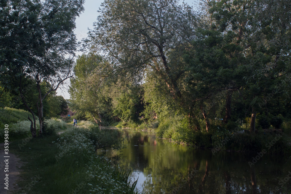 River and forest