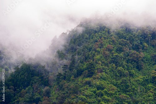 Mountainous forest landscape after the rain  clouds and fresh air  winter in Guatemala  land of forests  source of oxygen and pure water.