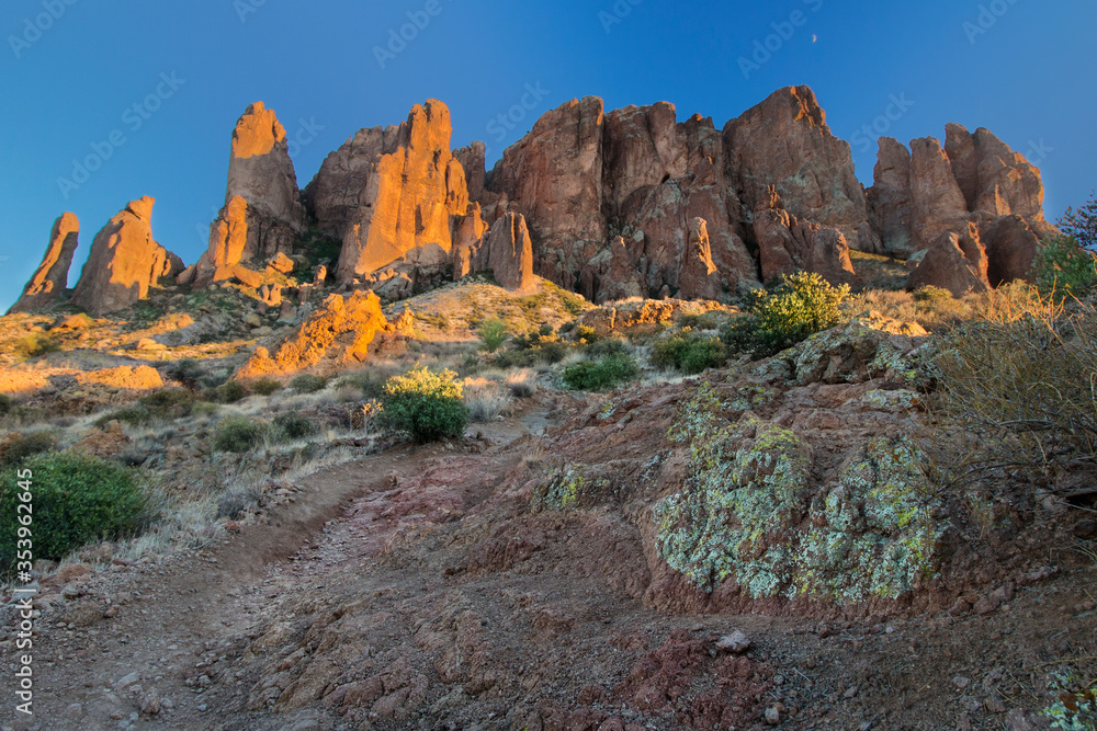 Naklejka premium Desert Lichens and Red Rock Sunsets