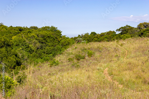 Trail and forest in Morro Santana mountain in Porto Alegre