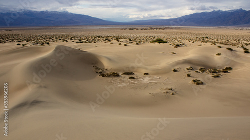 Mesquite Sand Dunes  Death Valley NP