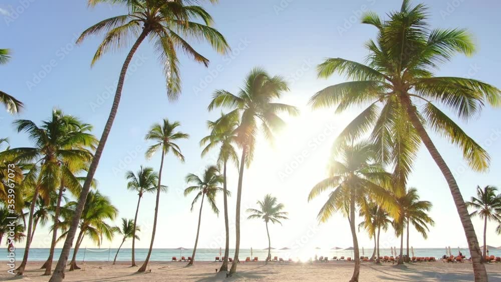 AERIAL DOLLY BACK Of Sunny Tropical Beachfront Views And Palm Trees AERIAL DOLLY BACK Of Sunny Tropical Beachfront Views And Palm Trees