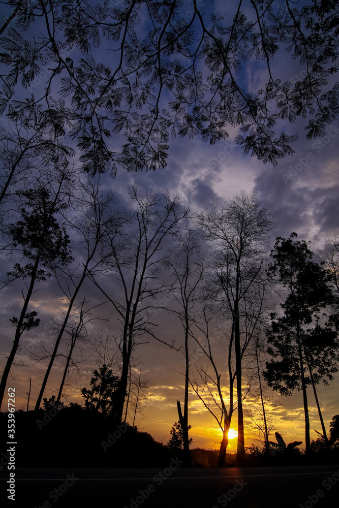beautiful sunset view with trees as silhouette-foreground at side-road near Kutai Kertanegara forest, East Kalimantan (east borneo), Indonesia. South East Asia. beautiful sunset view with trees as silhouette-foreground at side-road near Kutai Kertanegara forest, East Kalimantan (east borneo), Indonesia. South East Asia.