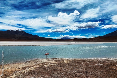 lake with flamingos in Uyuni Bolivia