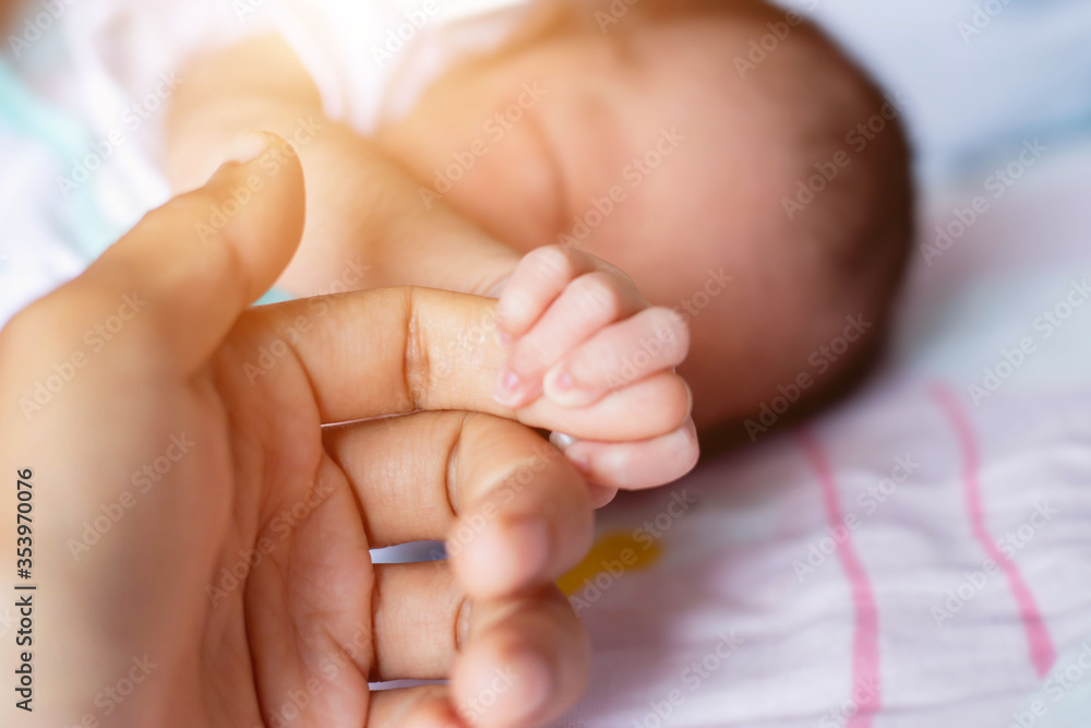 Small delicate little hand of newborn - close portrait Small delicate little hand of newborn - close portrait