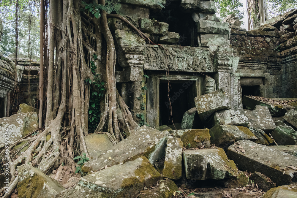 Obraz premium View of abandoned Ta Prohm temple, one of Angkor's best visited monuments. It is known for the huge trees and massive roots growing out of its walls in Siem Reap, Cambodia.