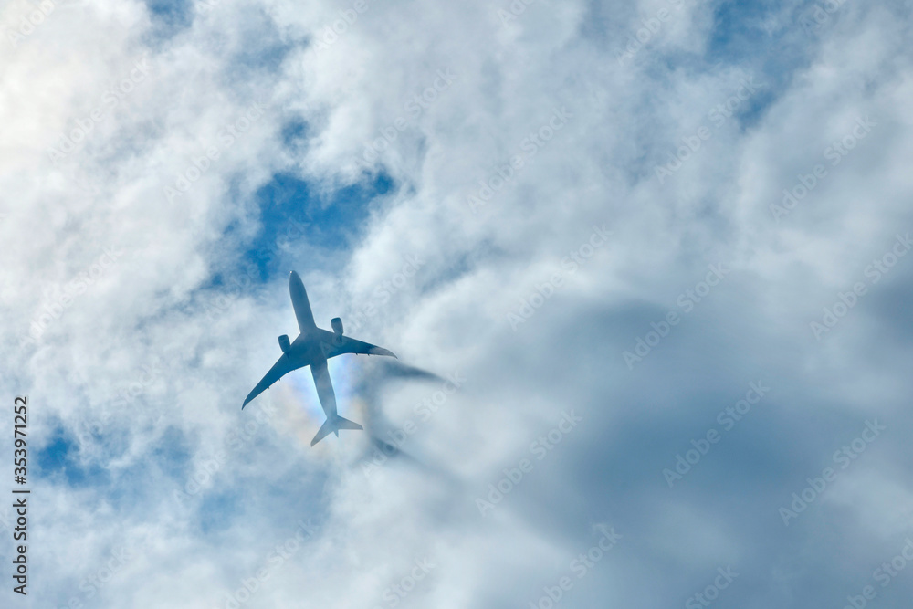 Fototapeta premium 雲上飛行機体とその影