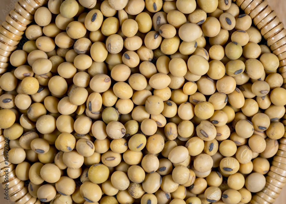 Top view Soybean pattern as for background Top view Soybean pattern as for background
