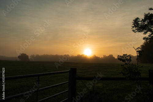 Foggy, hazey morning sunrise over the field