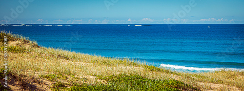Fototapeta Naklejka Na Ścianę i Meble -  Australian Landscape Beach Spinifex