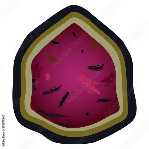 Watermelon Tourmaline crystal. Isolated vector illustration. 