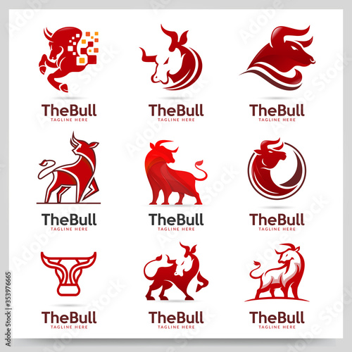 Collection of bull logo design. Graphic design element. 