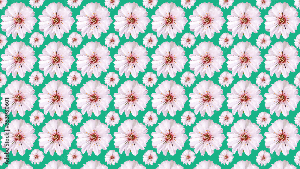 seamless background of sakura flowers isolated on green seamless background of sakura flowers isolated on green