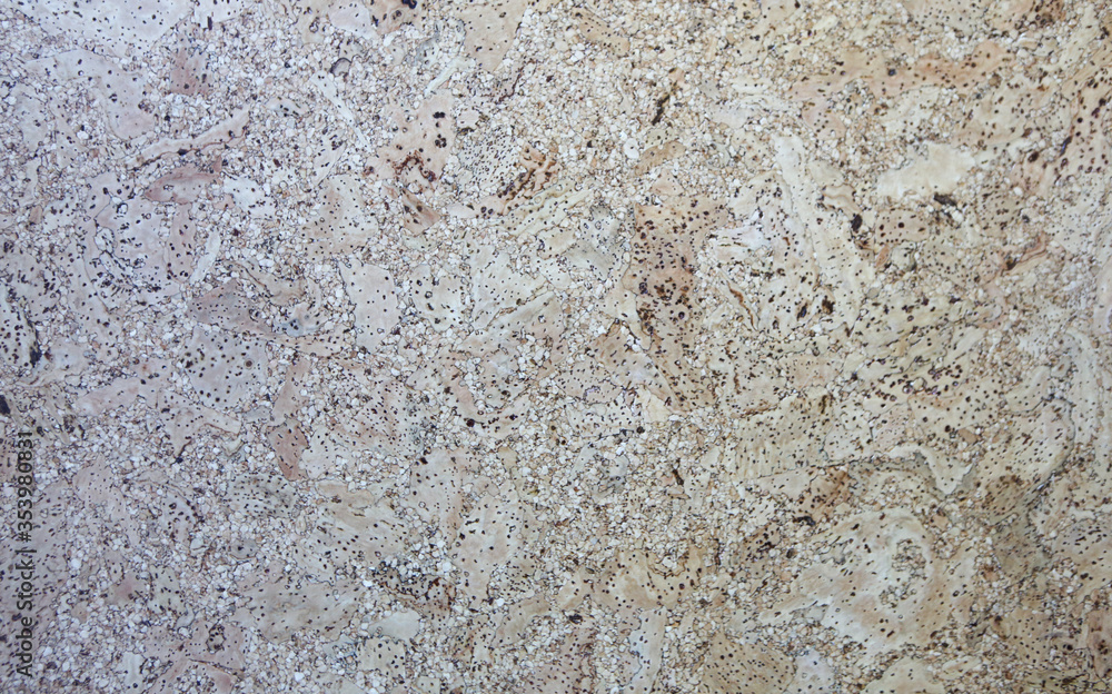Manufactured Quartz Countertop Manufactured Quartz Countertop