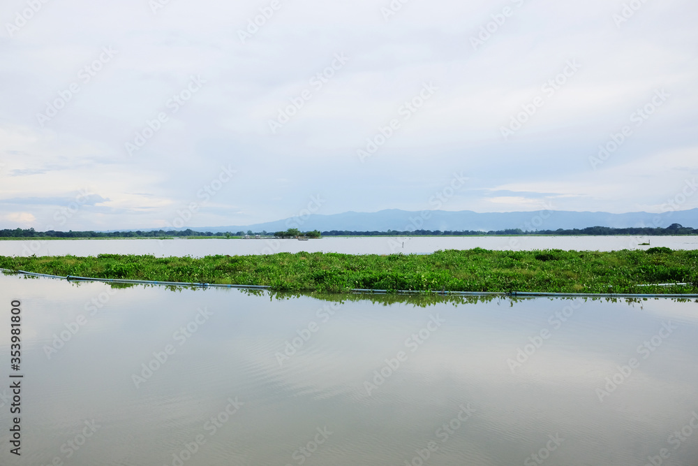 Destination twilight of sunset Reflected light on the lake surface with water hyacinth in the River
