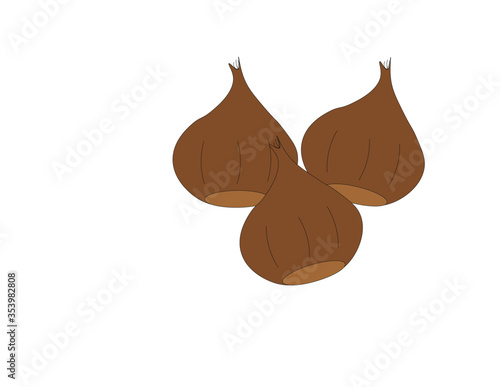 Logo o disegno per castagna o sacchetto per farina di castagne dolci contenenti castagna