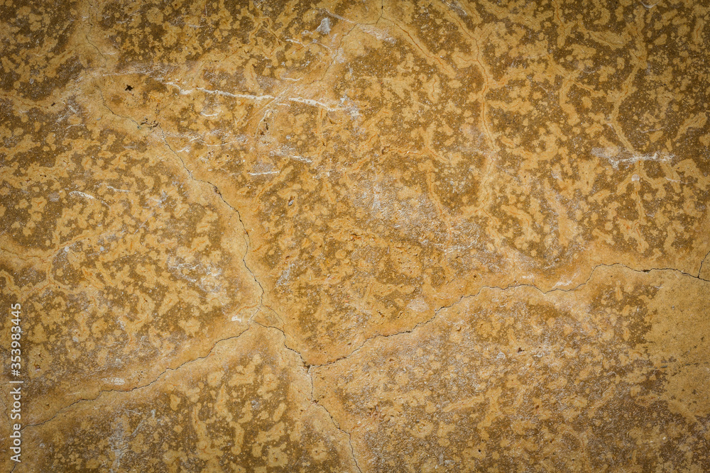 Roy cracked plaster wall background Roy cracked plaster wall background