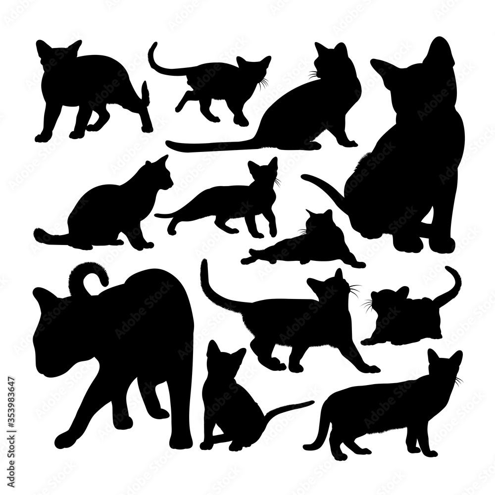 Cute burmese cat animal silhouettes. Good use for symbol, logo, web icon, mascot, sign, or any design you want.