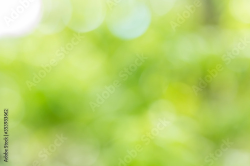 Abstract green bokeh and blur from light nature use as background image for pasting text or characters