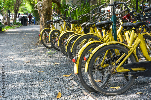 city bike, a row of yellow color public bicycles for rent parking on footpath in public park