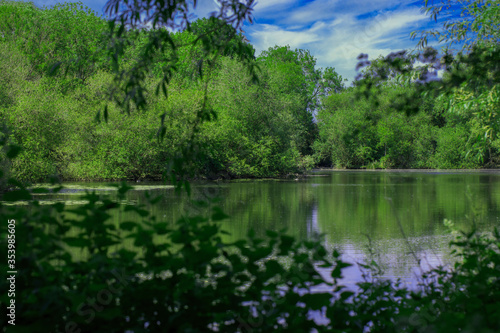 lake in the forest